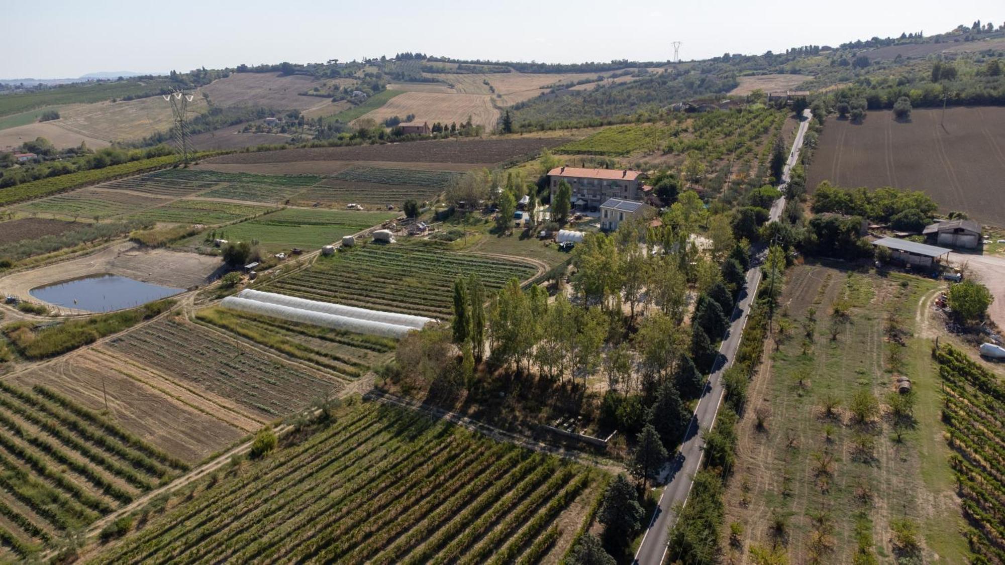 Bio Fattoria Mula D'Oro - Biofattoriamuladoro It - Organic Food, Nature & Relax Mulazzano Eksteriør bilde